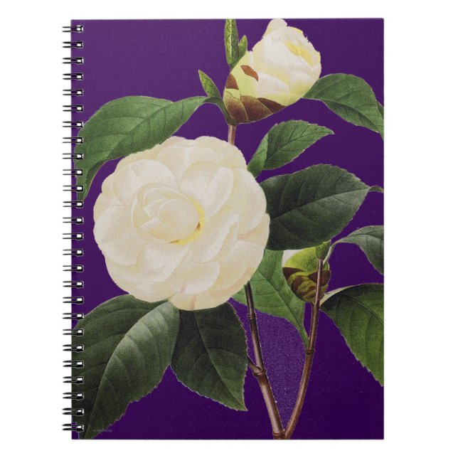 Cuaderno Camelia blanca, 1833 (Frente)