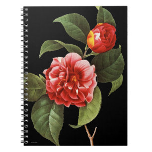 Cuaderno Camelia roja, 1833