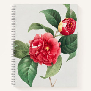 Cuaderno Camelia Variada, Pierre-Joseph Redouté, 1833