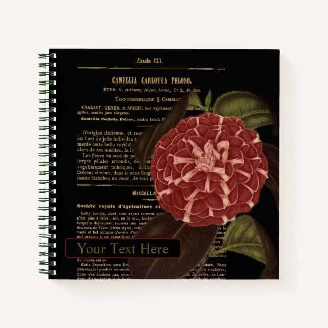 Cuaderno Camellia Carlotta Peloso Black (Anverso)