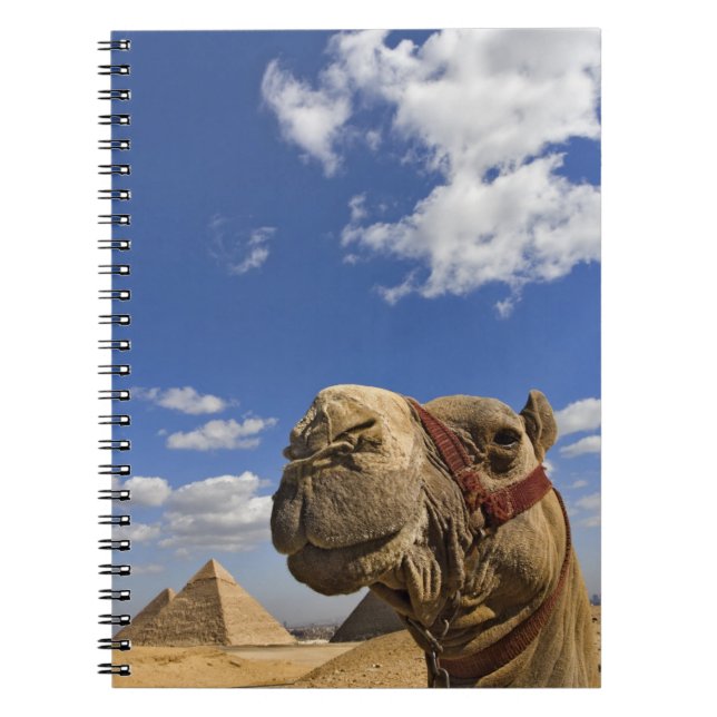 Cuaderno Camello frente a las pirámides de Giza, Egipto, (Frente)