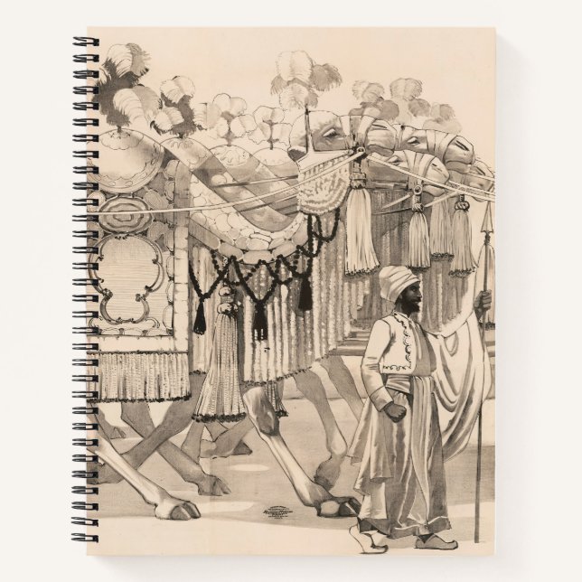 Cuaderno Camellos Caminando Vestidos Con Vestido (Anverso)
