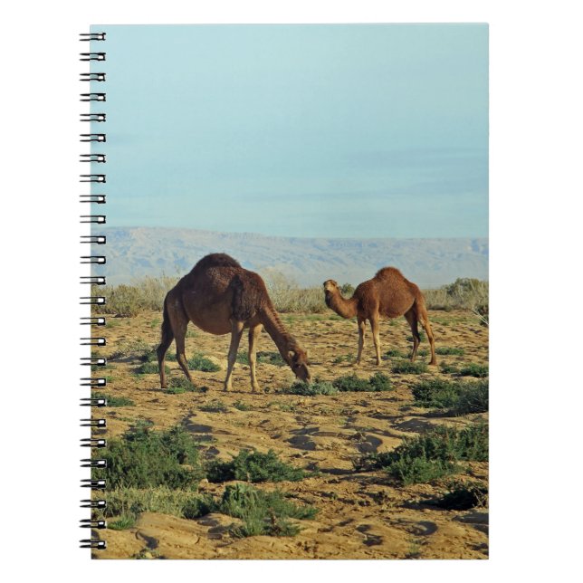 Cuaderno Camellos, Túnez (Frente)