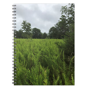 Cuaderno Caminando en el Bosque, Chester, Carolina del Sur 
