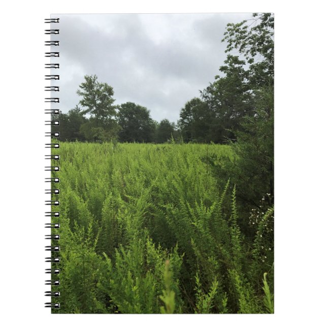 Cuaderno Caminando por el bosque, Chester, Carolina del Sur (Frente)