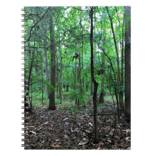 Cuaderno Caminando por el bosque, Chester, Carolina del Sur