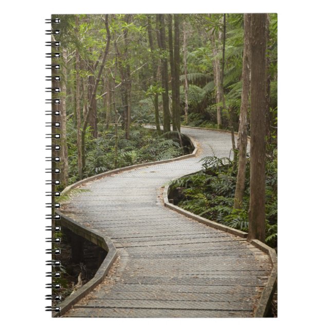 Cuaderno Caminata a Nelson Falls, Franklin - Gordon (Frente)