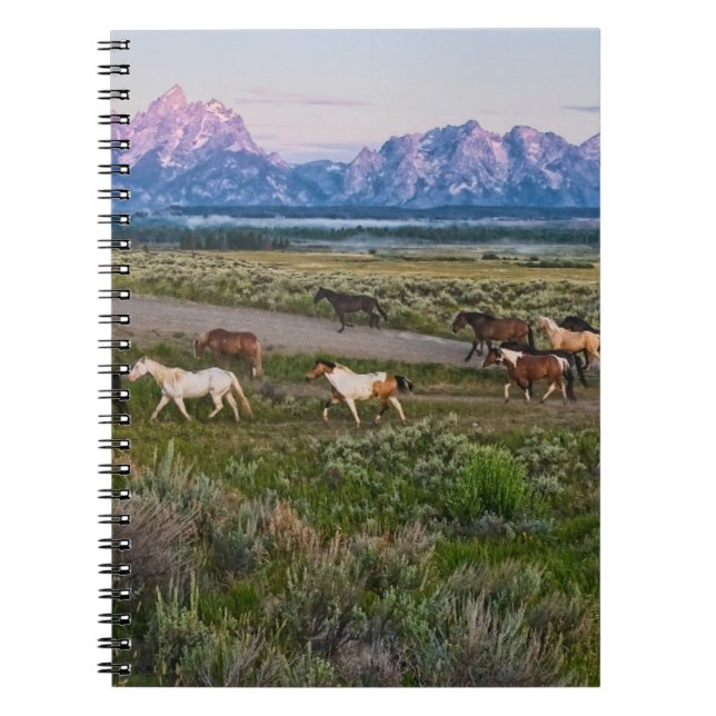Cuaderno Caminata de caballos (Frente)