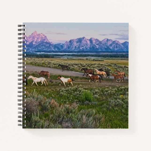 Cuaderno Caminata de caballos (Anverso)