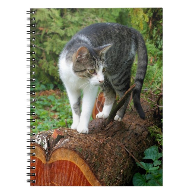 Cuaderno Caminata de gato - Bloc de notas Kitty (Frente)