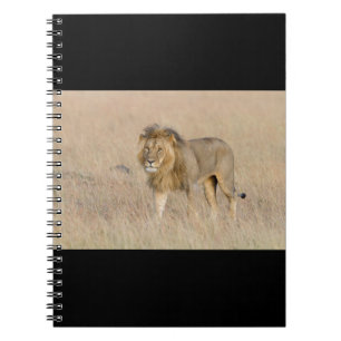 Cuaderno Caminata de leones