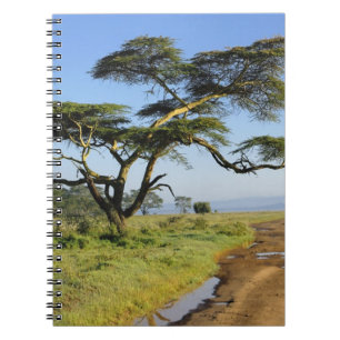Cuaderno Camino de tierra primitivo y árbol de acacia, Lago