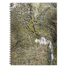 Cuaderno Camión de árbol y textura de mosca