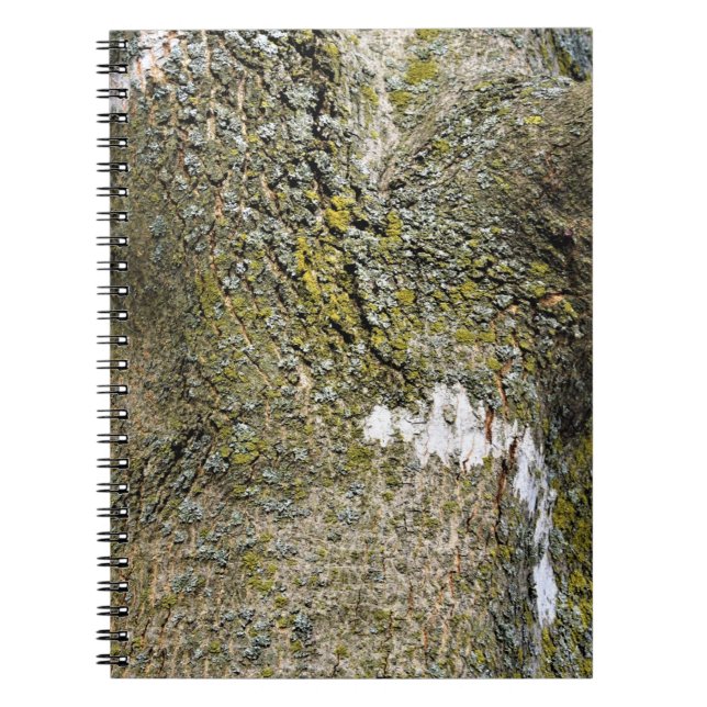 Cuaderno Camión de árbol y textura de mosca (Frente)