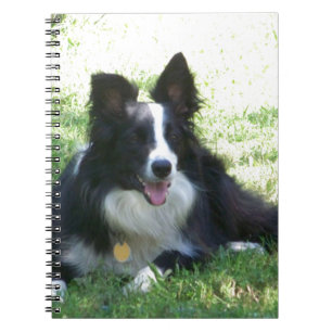 Cuaderno Camisetas Fronterizas de Collie