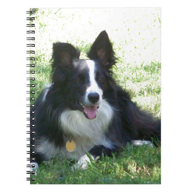 Cuaderno Camisetas Fronterizas de Collie (Frente)