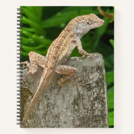 Cuaderno Camouflage Master