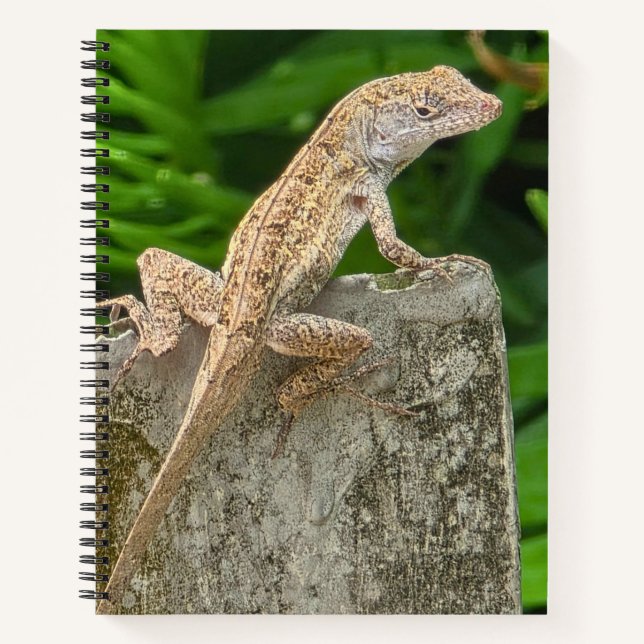 Cuaderno Camouflage Master (Anverso)