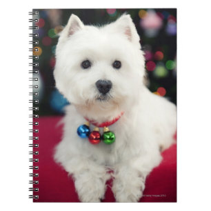 Cuaderno Campana de navidad del perrito que lleva en cuello