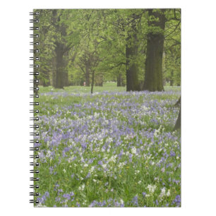 Cuaderno Campanillas y Robles en Primavera, Little Hagley