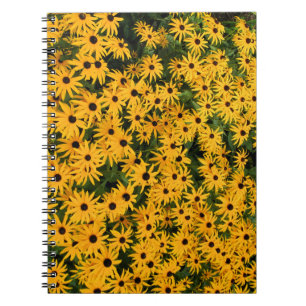 Cuaderno Campo amarillo del bloc de notas de Daisies
