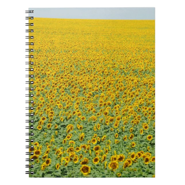 Cuaderno Campo amarillo del girasol (Frente)