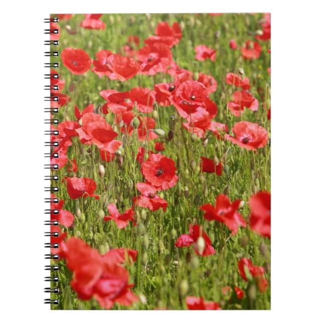 Cuaderno Campo de amapola - ¡Asombroso! (Frente)