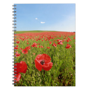 Cuaderno Campo de amapola - ¡Asombroso!