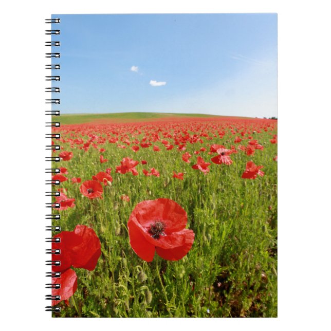 Cuaderno Campo de amapola - ¡Asombroso! (Frente)