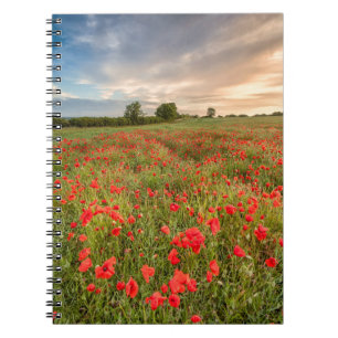 Cuaderno Campo de amapolas