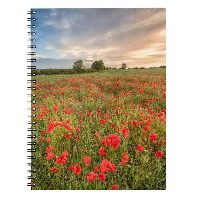 Cuaderno Campo de amapolas (Frente)