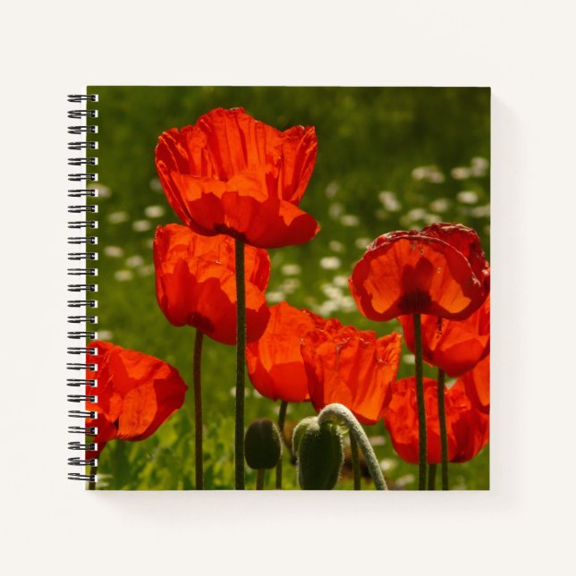 Cuaderno Campo de amapolas rojas brillantes (Anverso)