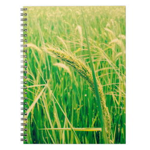 Cuaderno Campo de arroz en el campo y en el fresco, de esti