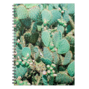 Cuaderno Campo de cactus, cactus espinosos, columna cactus