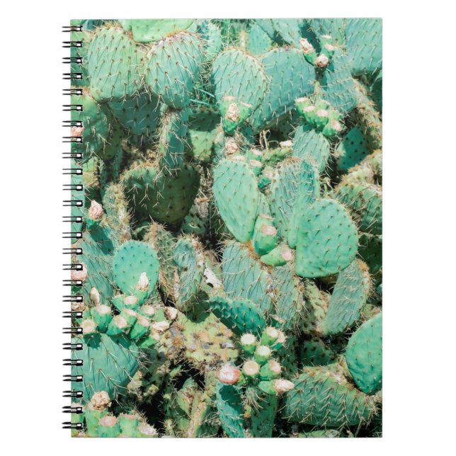 Cuaderno Campo de cactus, cactus espinosos, columna cactus (Frente)
