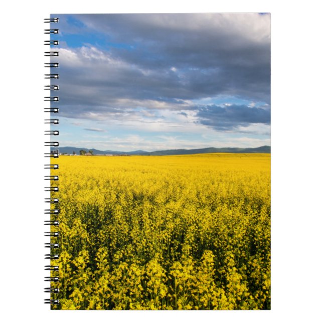 Cuaderno Campo De Canola A Última Hora De La Noche (Frente)