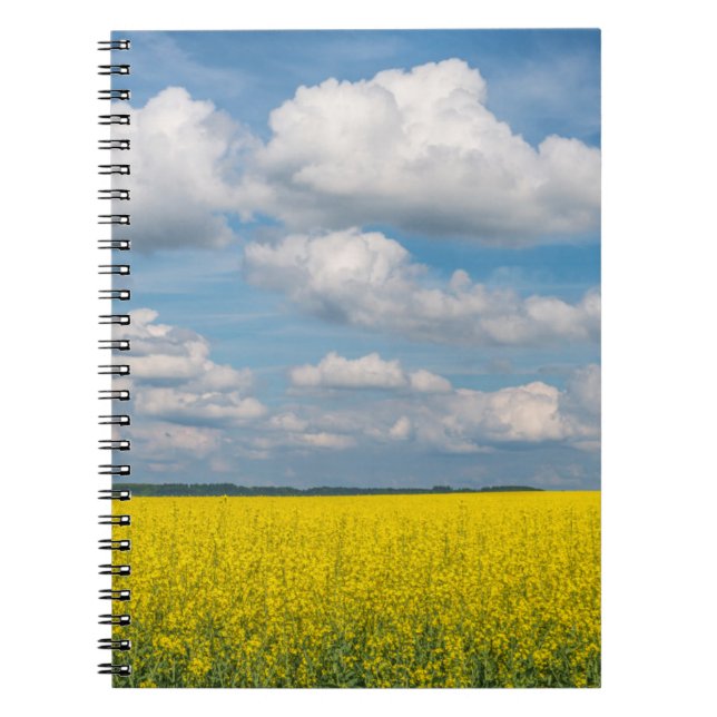 Cuaderno Campo de Canola & Nubes (Frente)