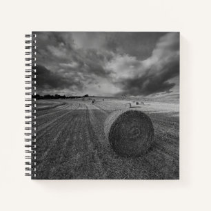 Cuaderno Campo de cebada de B&W