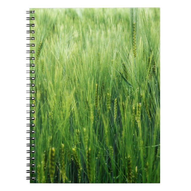 Cuaderno Campo de cebada verde, cierre de primavera. (Frente)