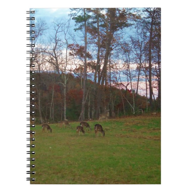 Cuaderno Campo de ciervos y un SunSet rosado (Frente)