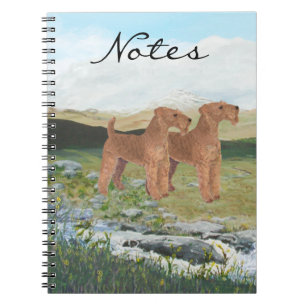 Cuaderno Campo de Connemara