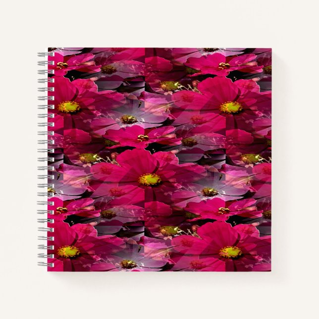 Cuaderno Campo de Cosmos...... (Anverso)