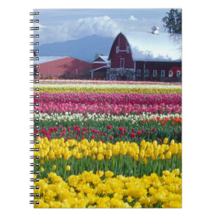 Cuaderno Campo de exhibición de tulipanes