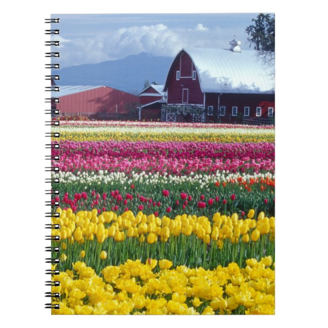 Cuaderno Campo de exhibición de tulipanes (Frente)