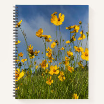 Campo de flores amarillas