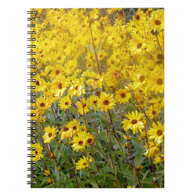 Cuaderno Campo De Flores Amarillas Vibrantes (Frente)