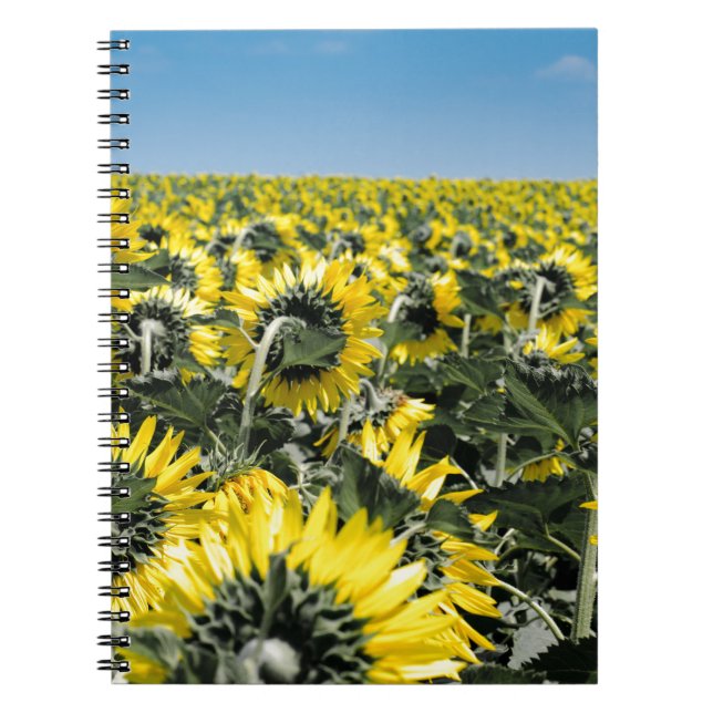 Cuaderno Campo de girasoles (Frente)