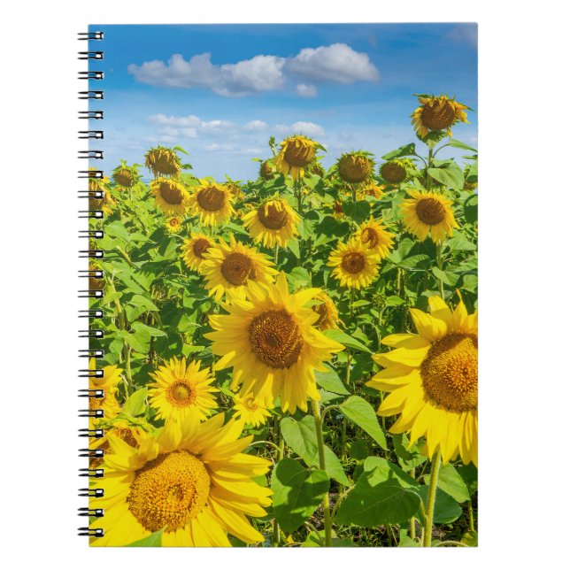 Cuaderno Campo de girasoles, día soleado de verano. (Frente)