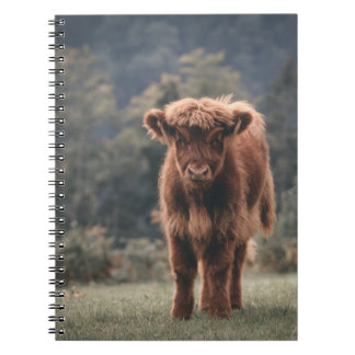 Cuaderno Campo de hierba de otoño de ternera de vaca de las