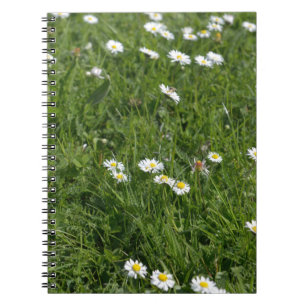 Cuaderno Campo de hierba verde con flores blancas y amarill